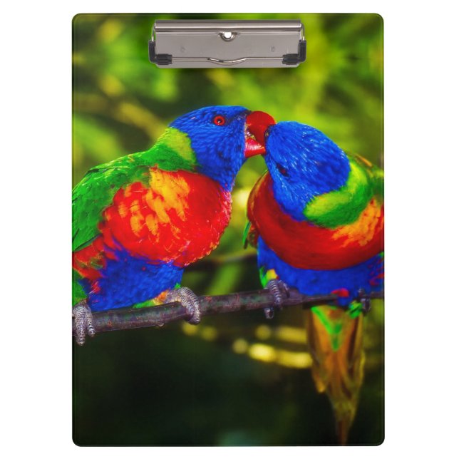 Colourful Couple of Kissing Parrots Clipboard (Front)