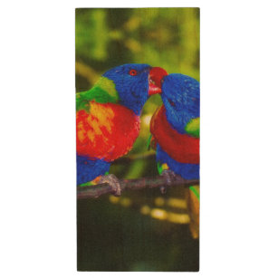 Colourful Couple of Kissing Parrots Wood USB Flash Drive