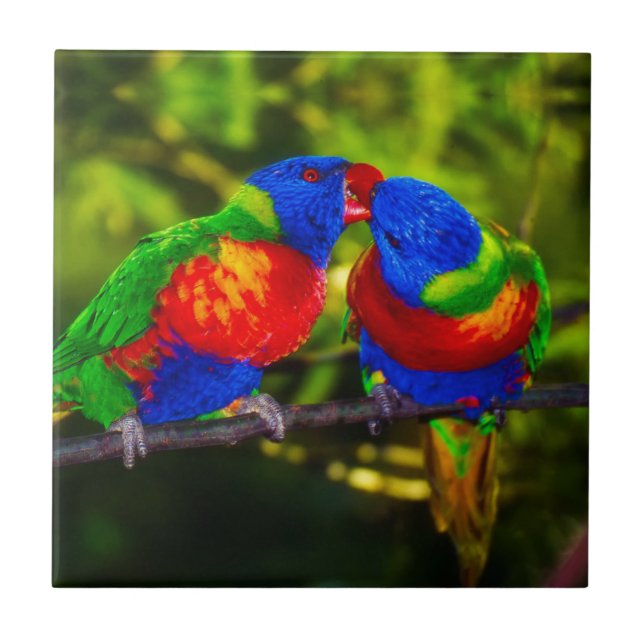 Colourful Couple of Parrots Tile (Front)