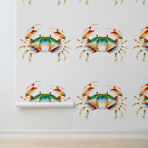 Colourful Crab Coastal Sand Dollar Seaside Wallpaper