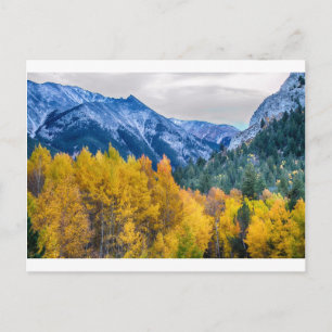 Colourful Crested Butte Colorado Postcard