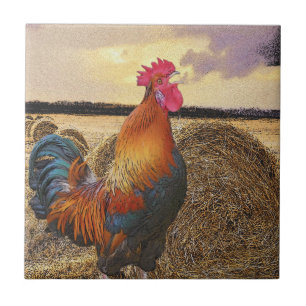 Colourful Crowing Rooster and Hay Bales Ceramic Tile
