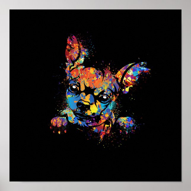 Colourful Cute Chihuahua Poster (Front)