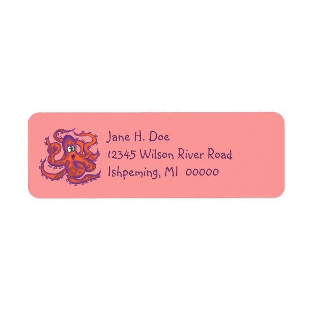 Colourful Cute Comical Octopus Octopi LABEL Return Address Label (Front)