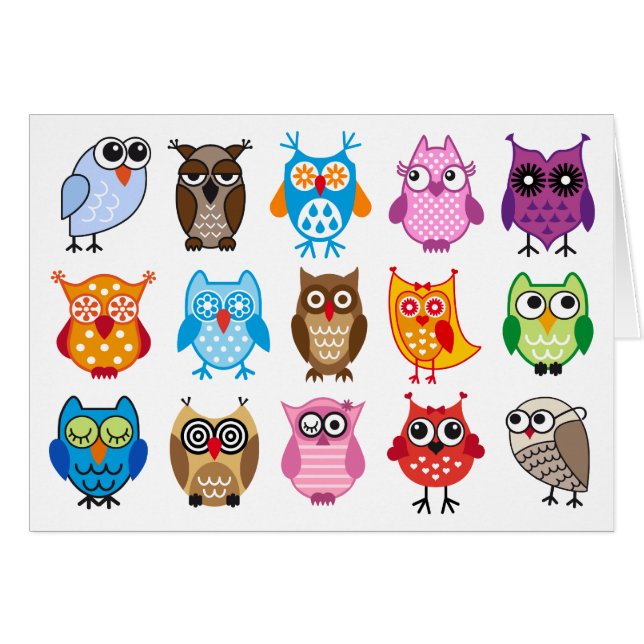 Colourful cute owls (Front Horizontal)