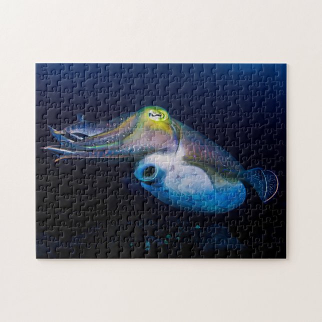 Colourful Cuttlefish Jigsaw Puzzle (Horizontal)