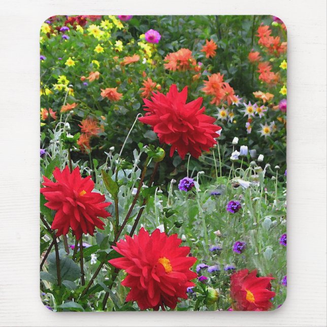 Colourful Dahlia Flower Garden Mousepad (Front)