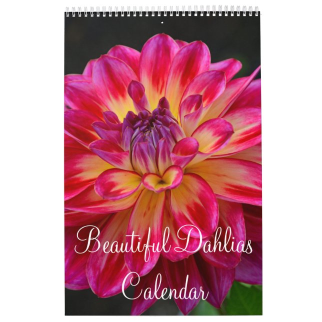 Colourful dahlia flowers calendar (Cover)
