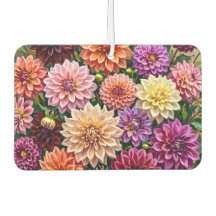 Colourful Dahlia Flowers