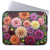 Colourful Dahlia Flowers