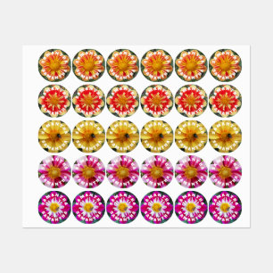 Colourful Dahlias with Child's Name Floral