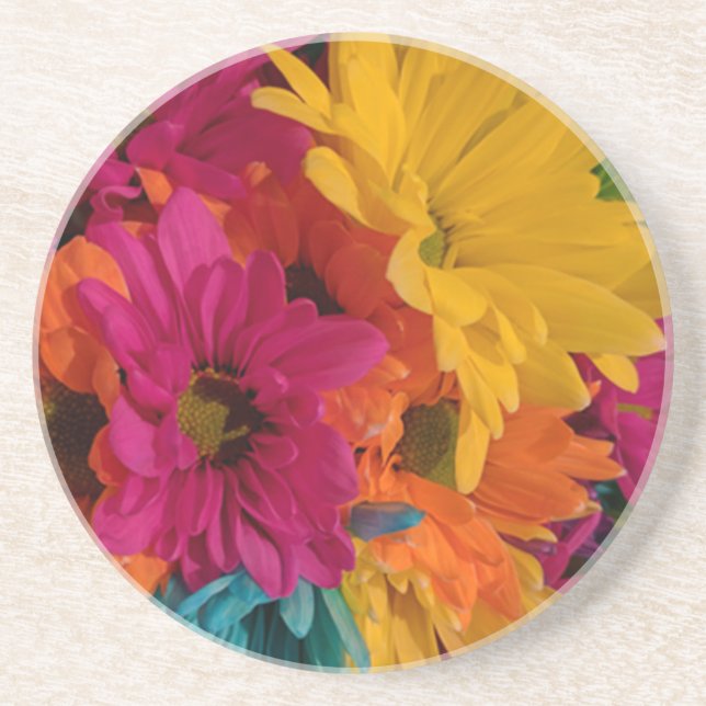 Colourful Daisies Coaster (Front)