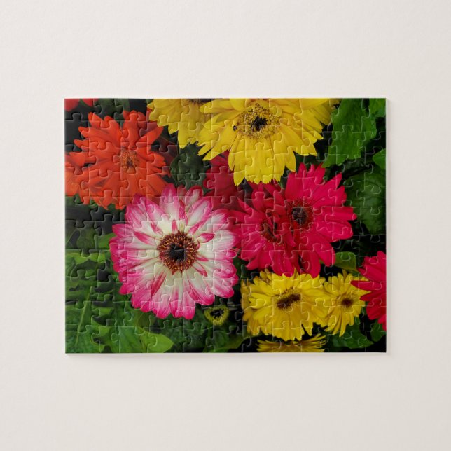Colourful Daisies Jigsaw Puzzle (Horizontal)