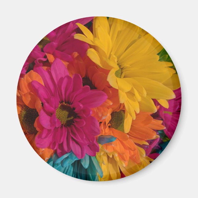 Colourful Daisies Magnet (Front)