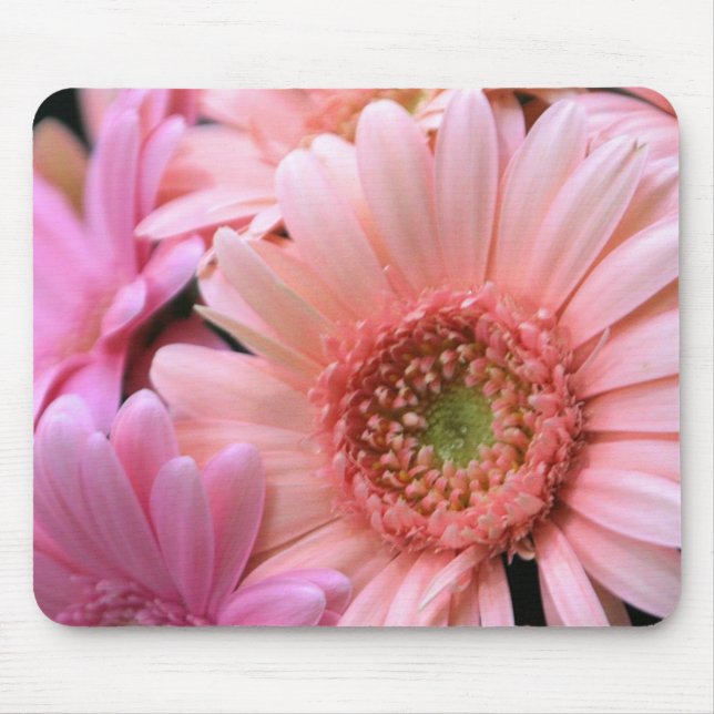 Colourful Daisies Mouse Pad (Front)
