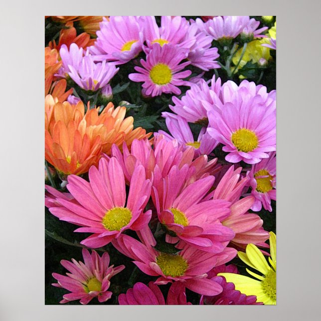 Colourful Daisies Photo Art  Poster (Front)