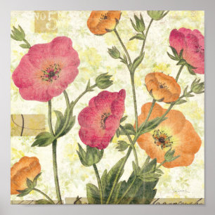 Colourful Daisies Poster