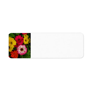 Colourful Daisies Return Address Label