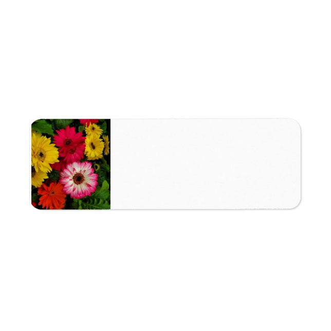 Colourful Daisies Return Address Label (Front)
