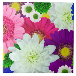 Colourful Daisies, summer blooms, Ceramic Tile