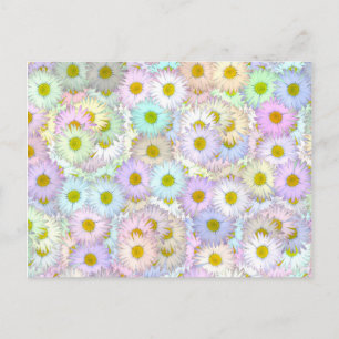 Colourful daisy bouquet - pastel postcard
