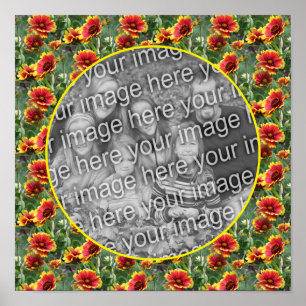 Colourful Daisy Flowers Frame Create Your Own Phot Poster