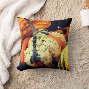 Colourful Decorative Gourds Close Up Fall Cushion