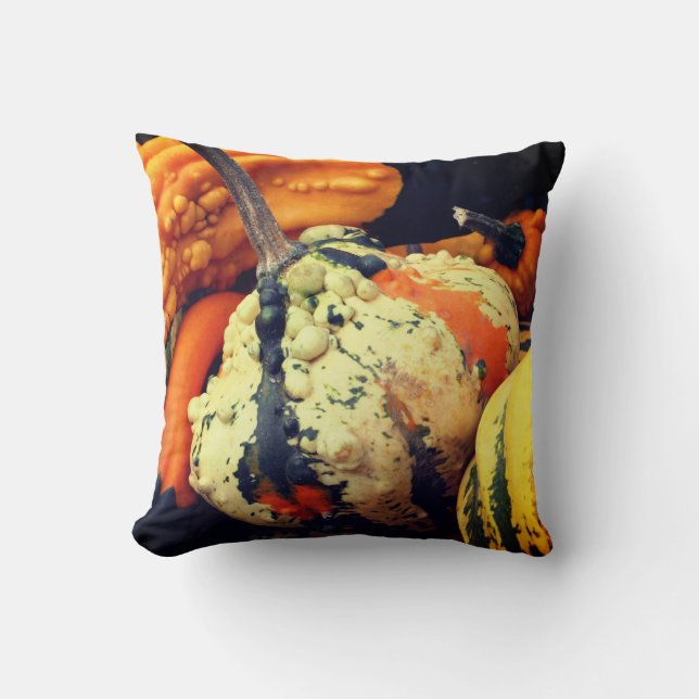 Colourful Decorative Gourds Close Up Fall   Cushion (Front)
