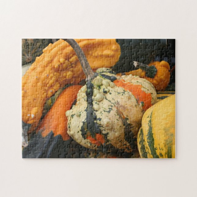 Colourful Decorative Gourds Close Up Fall  Jigsaw Puzzle (Horizontal)