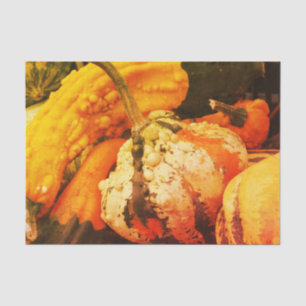 Colourful Decorative Gourds Fall Vintage Decoupage Tissue Paper