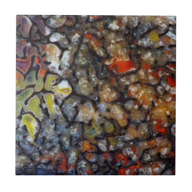 Colourful Dinosaur Bone Ceramic Tile (Front)