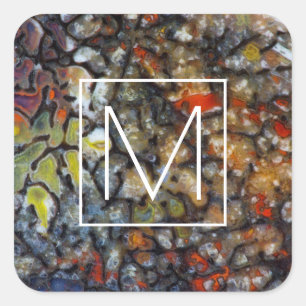 Colourful Dinosaur Bone Square Sticker