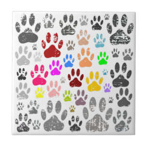Colourful Distressed Dog Paw Prints On Grey Ceramic Tile