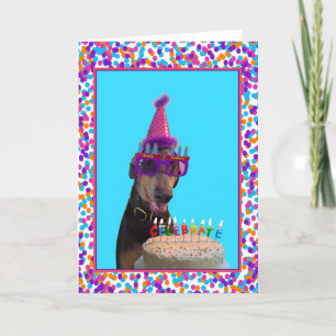Colourful Doberman Birthday Celebration Cake Card