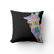 Colourful Donkey