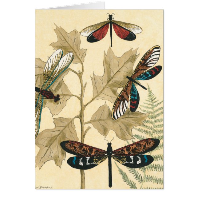 Colourful Dragonflies Floating Above Leaves (Front)