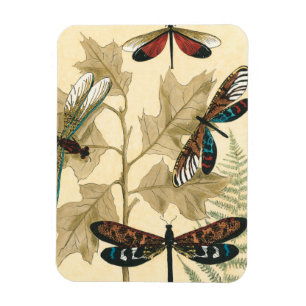 Colourful Dragonflies Floating Above Leaves Magnet