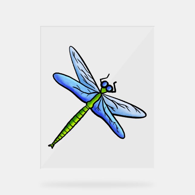 Colourful dragonfly on a branch acrylic sign (Front)