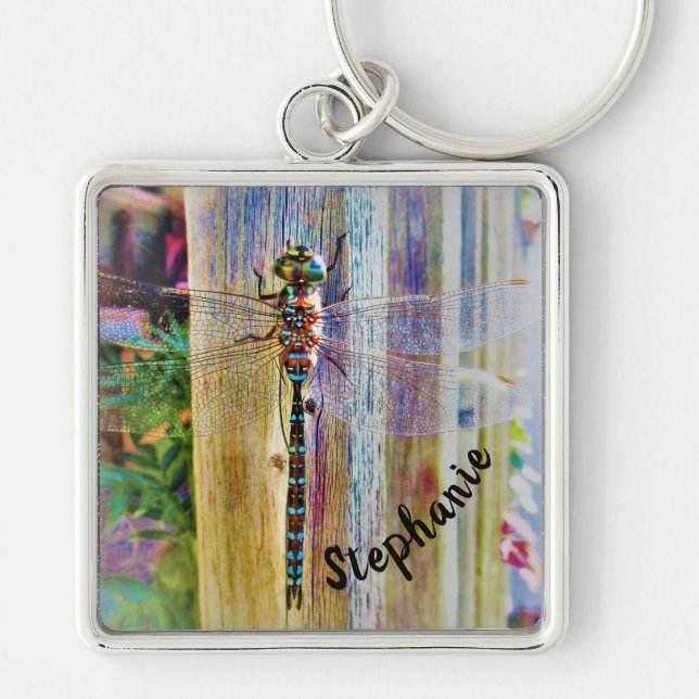 Colourful Dragonfly Wings Spread in Sunlight Key Ring (Front)