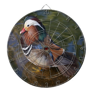 Colourful duck in the water dartboard