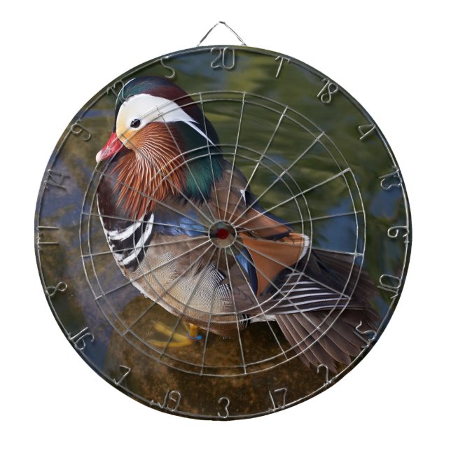 Colourful duck in the water dartboard (Front)