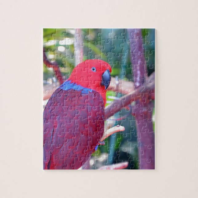 Colourful eclectus parrot jigsaw puzzle (Vertical)