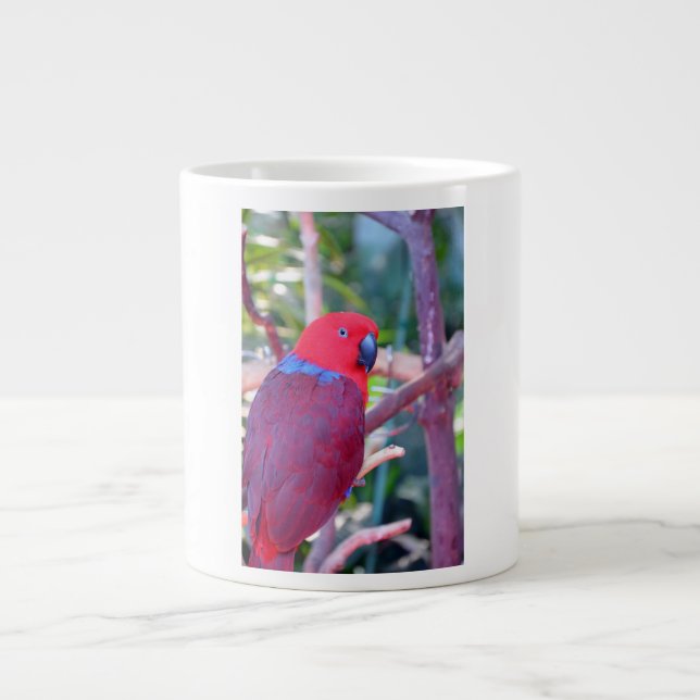 Colourful eclectus parrot mug (Front)