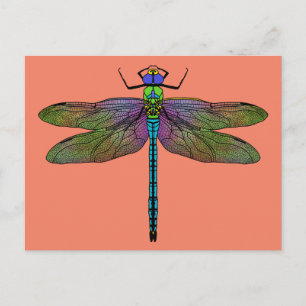Colourful Emperor Dragonfly Art Postcard