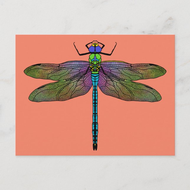 Colourful Emperor Dragonfly Art Postcard (Front)