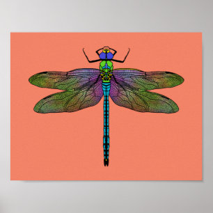 Colourful Emperor Dragonfly Art Poster
