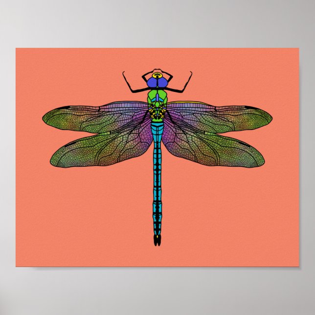 Colourful Emperor Dragonfly Art Poster (Front)