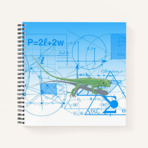 Colourful Equations Geometric Designs Lizard Squar Notebook