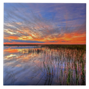 Colourful Everglades, Florida, Ceramic Tile