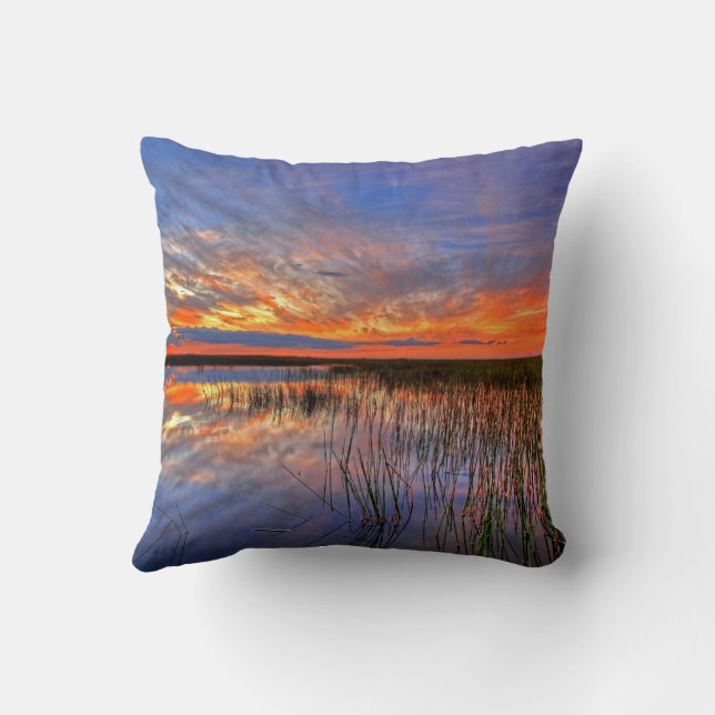 Colourful Everglades, Florida, Cushion (Back)